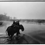 Soldiers use elephants used to track poachers