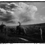 Rangers @ Kaziranga National Park, Assam, India.